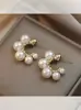 Lote Misto Brincos Populares para Mulheres, Brincos de Luxo de Alta Qualidade, Mesmo Estilo do Tiktok, Versão Coreana, Brincos de Flor de Pérola, Nicho e Versátil