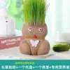 Muñeca de cabeza de césped muñeca floreciente planta de césped largo mini infantil en maceta interior balcón con hierba para gatos