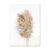 Pintura Decorativa Paisaje Nórdico Caña Hierba Silvestre Planta Flor Seca Sala de Estar Dormitorio Pared de Fondo Póster Pintura sin Marco Amazon