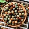 Contas de mão Bodhi pretas mágicas naturais, feitas à mão, faça você mesmo, pulseira de contas, acessórios, bandeja, joias, atacado