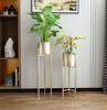 Estilo Nórdico Hierro Soporte para Flores Estante de Almacenamiento Creativo Dorado Piso Sala de Estar Decorativo Soporte para Flores Interior Macetero Verde