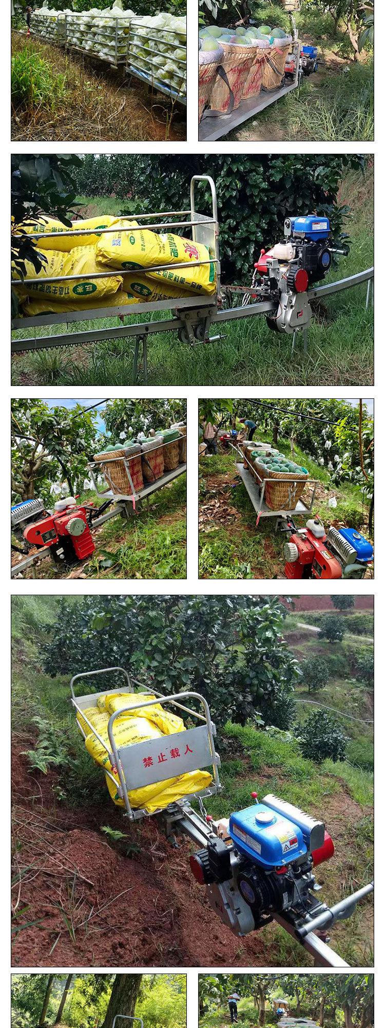 0421单轨运输车5