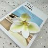 Cabeça de flor de Cymbidium flor artificial impressão 3D cola flexível decoração de celebridade da internet estilo phalaenopsis DIY caixa de presente manual LV Fu