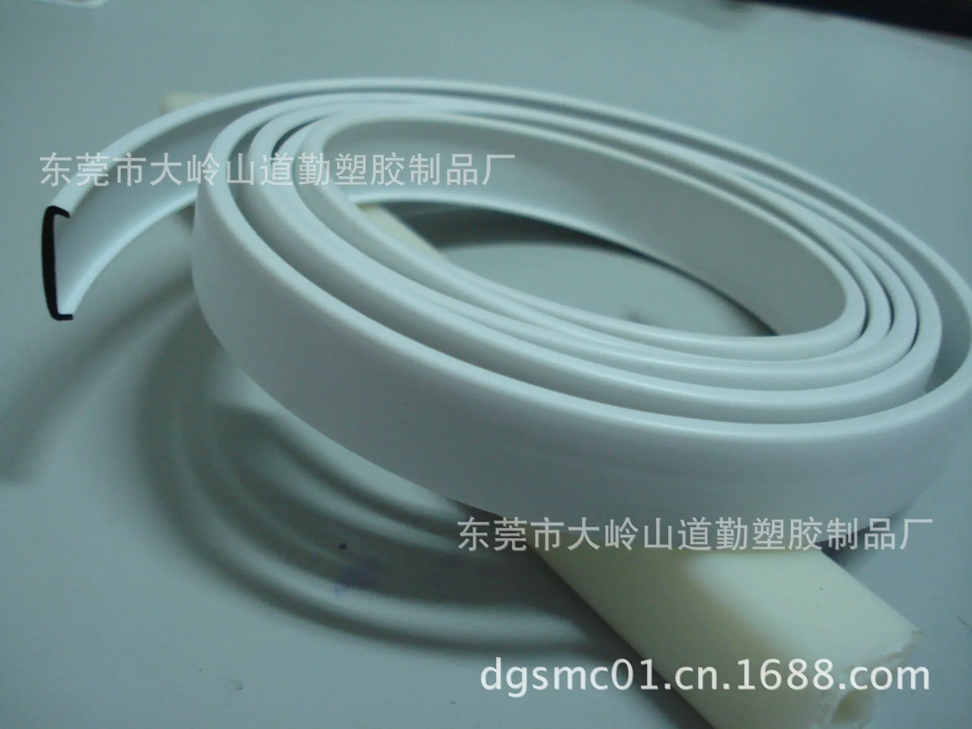 DSC04408