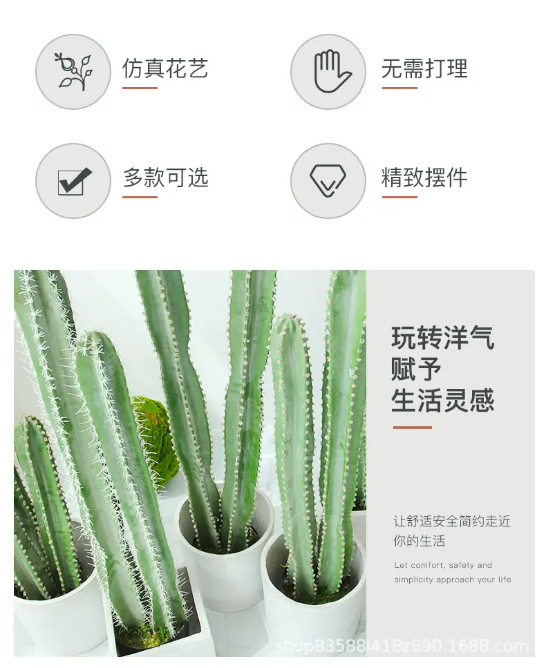 仙人柱系列_02.jpg