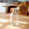 Decoração para casa em estilo aromaterapia pequeno vaso de vidro escritório decoração de mesa vaso nórdico retro alto sentido