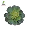 Simulación gran Baolian suculenta tacto de goma suave planta plástico material de decoración floral maceta de césped artificial tridimensional 3D