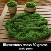 Adornos de Arreglo de Micro-Paisaje Biométrico, Musgo Artificial Decorativo, Bonsái Artificial, Césped de Musgo Falso, Césped para Paisajismo