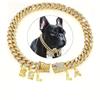Coleira Personalizada com Pingente de Letra Nova para Pet com Strass 12mm Fivela de Segurança Coleira para Gato e Cachorro Gargantilha para Pet Atacado