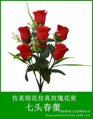 7头春蕾.jpg