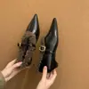 Nueva colección de otoño e invierno estilo coreano: Zapatos pequeños de cuero para mujer, con forro de felpa, sin cordones, punta fina, tacón grueso y diseño Mary Jane de una sola tira.