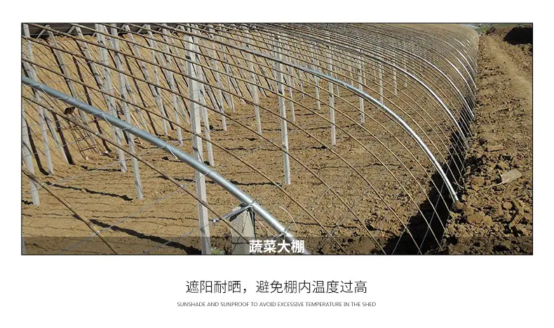 详情05_09.jpg