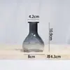 Vaso de Vidrio de Sodio-Calcio Transfronterizo al por Mayor Estilo Simple de Ins Adorno Floral Hidropónico Decoración de Mesa