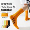 Calcetines de bádminton para hombre profesionales de rizo grueso transpirables absorbentes de sudor antideslizantes calcetines de baloncesto para correr calcetines de tubo