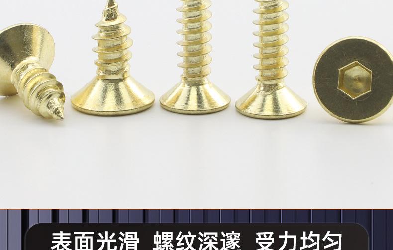 304不锈钢金色沉头内六角自攻螺丝_03_16.jpg