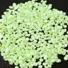 [Zhenxiong] Perlas de Imitación ABS 3-20mm Semiesfera Cuentas Sueltas Pulsera de Perlas Hecha a Mano Accesorios para Joyería DIY