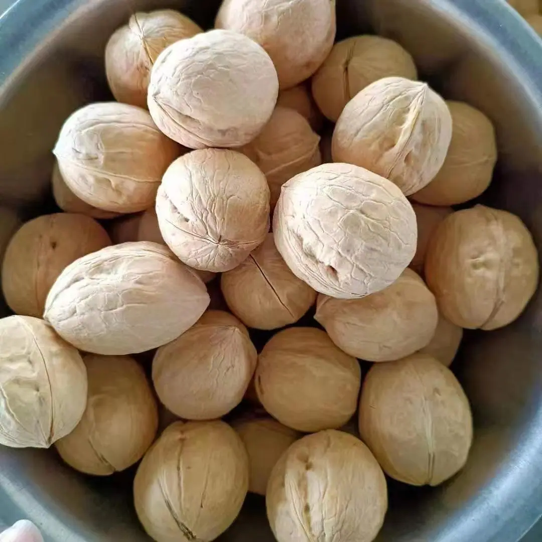 微信图片_20221004194333