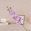 Orquídea Mariposa de Seda Simulada de 9 Cabezas Muebles para el Hogar Arreglo de Boda Arreglo Floral Decoración de Hotel Fabricante de Flores Artificiales Venta Directa