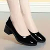 Zapatos de mujer elegantes de estilo francés brillante, nuevo modelo de otoño 2026, tacón medio, adecuados para faldas, zapatos de vestir de cuero color nude, puntera cuadrada