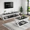 Mueble de TV para Sala de Estar con Vidrio Templado, Mesa de Centro Minimalista Moderna y Juego de Muebles de TV, Mesa de Centro Lacada de Hierro Forjado