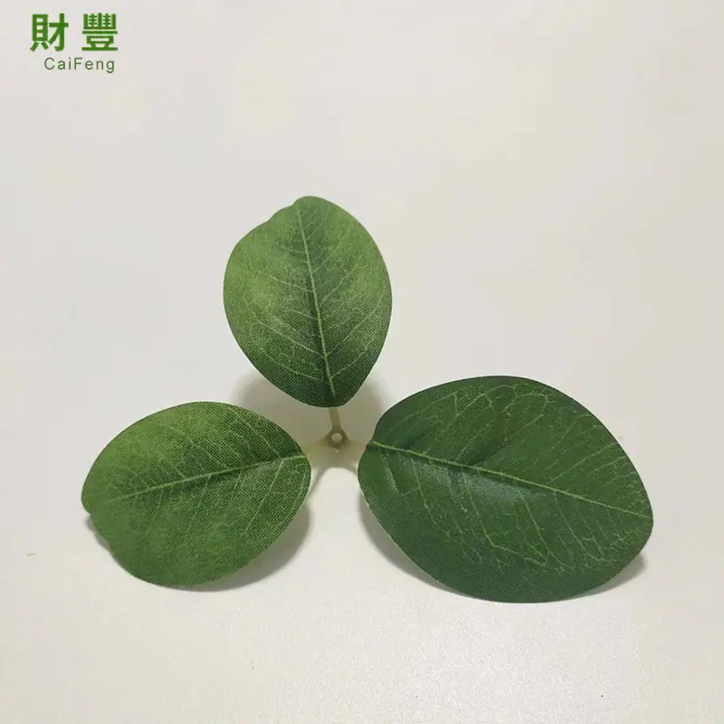 三叉柠檬叶.jpg