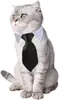Corbata para Mascotas de Venta Caliente Transfronteriza con Rayas, Estrellas y Colores Sólidos para el Día de la Independencia, Corbata para Perro, Babero de Collar Falso