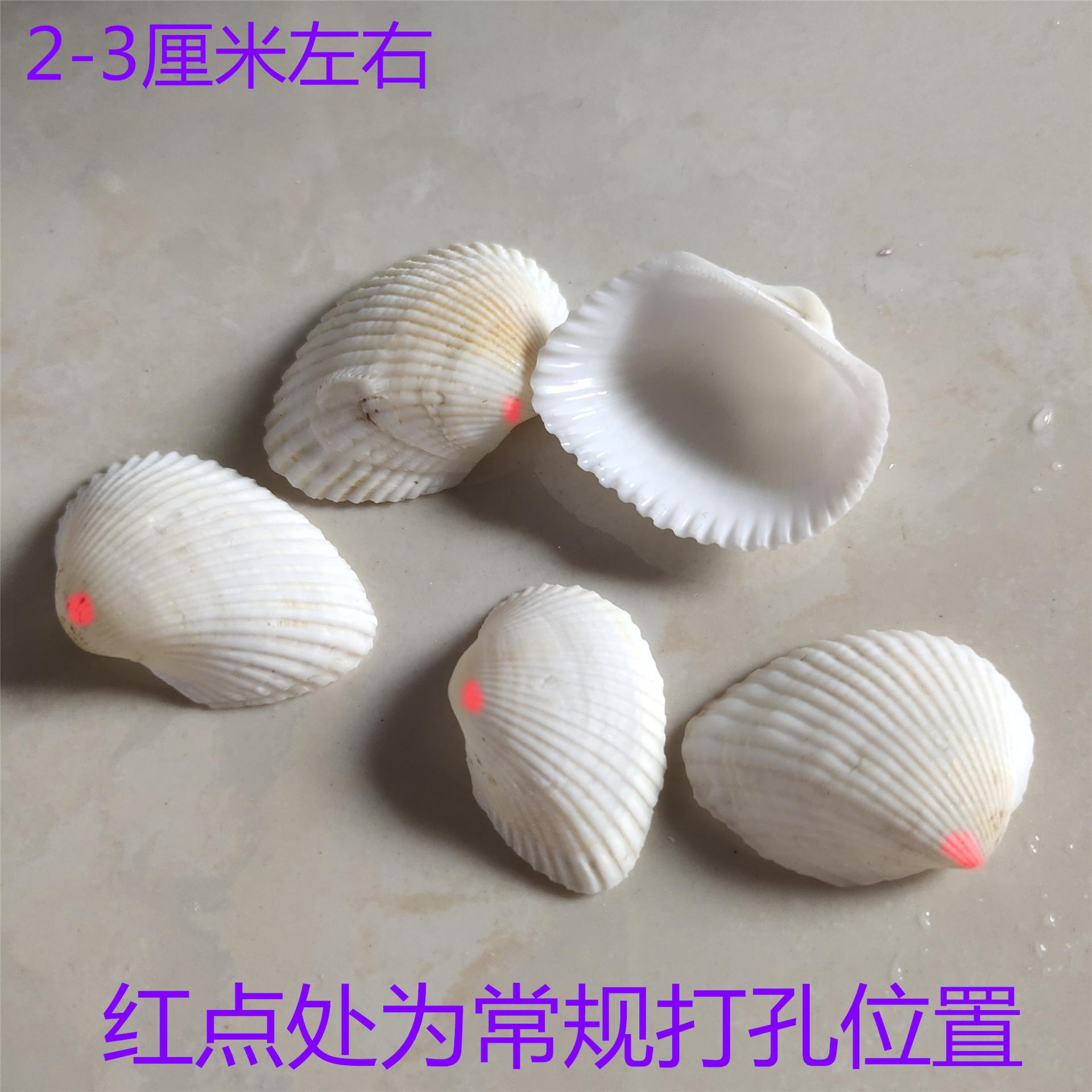 IMG_20200129_125041_副本