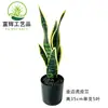 Arreglo de planta verde orquídea tigre de borde dorado artificial del desierto en maceta para paisajismo, accesorios florales y decoraciones al por mayor, agave suculento