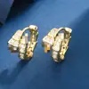 Nuevos pendientes de moda populares 2023 pendientes de circonita con forma de serpiente para mujer diseño de nicho temperamento de alta calidad pendientes de lujo ligero