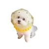 Collar protector para mascotas para prevenir mordeduras, collar isabelino para pasear perros, conveniente, cómodo, transpirable, collar de malla anti-lamido y anti-mordeduras
