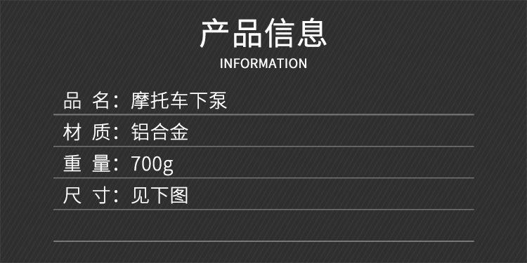 C250下泵_01.jpg