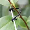 Clipes de gravata de galho de kiwi, clipes de gravata de videira de uva, fixadores de galho de fruta para mudas, ganchos de plástico para plantas trepadeiras
