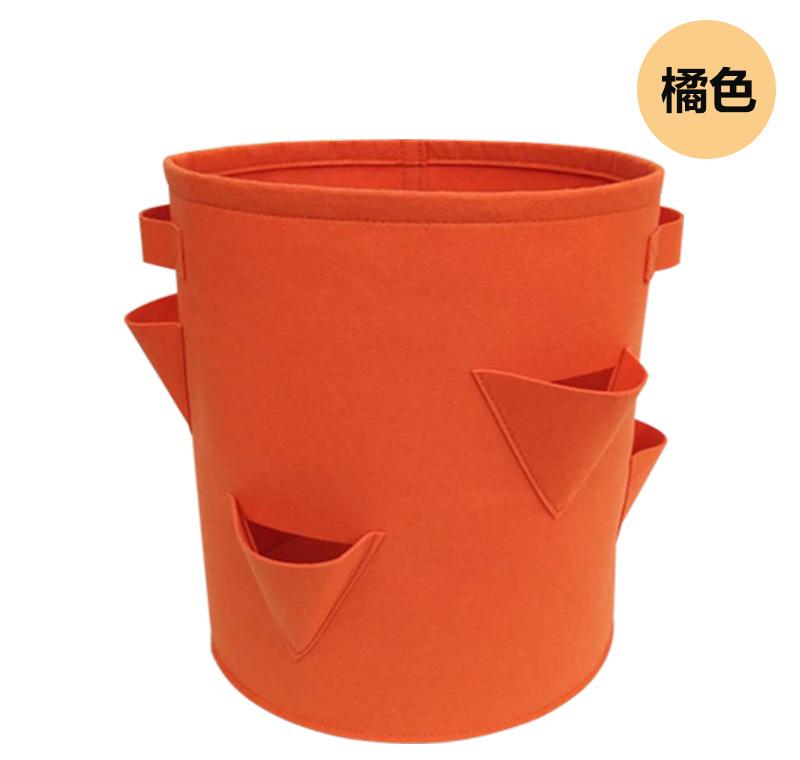 草莓详情5