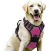 Set de arnés para perro Amazon, estilo chaleco con correa, adecuado para perros medianos a grandes, producto popular transfronterizo