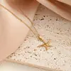 Accesorios de Playa de Estilo Europeo y Americano con Conchas y Estrellas Marinas, Versátiles y de Moda, Collar Sencillo de Acero Inoxidable para Mujer de Acero de Titanio, Cadena para Clavícula