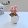 Suculenta Pequeño Bonsái Cerámica Muebles para el Hogar Decoración Fabricante de Jinhua Plantas Verdes Aliexpress Flor Artificial Plantas en Maceta