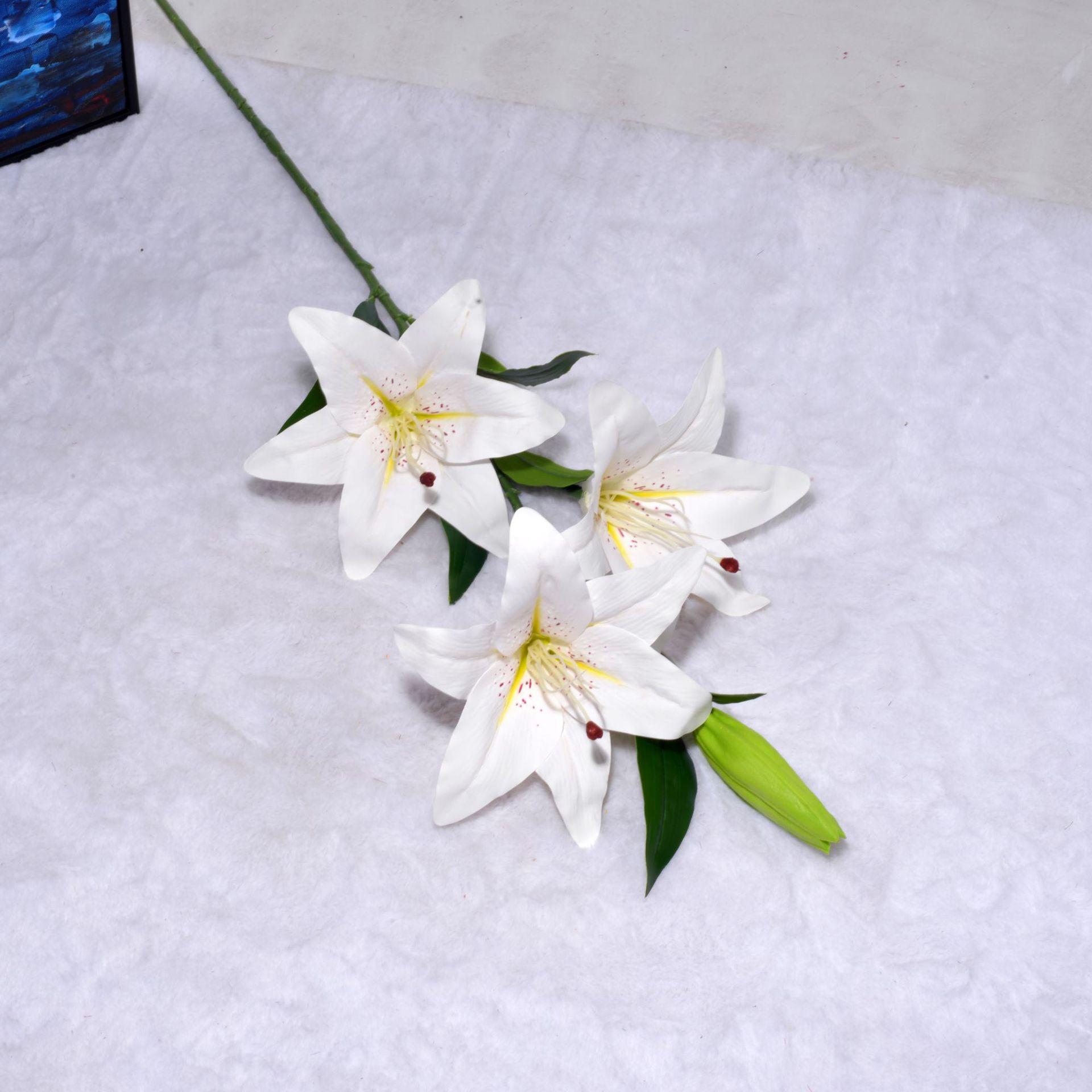 10# 白.JPG