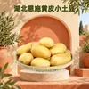 Hubei Enshi Batatas Pequenas de Casca Amarela Atacado Dropshipping 3/5/9 Jin Batatas Farinhentas Grudentas Vegetal da Estação Caixa de Presente Verduras Frescas