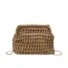 Bolso Tejido Nuevo y Elegante para Verano, Versátil y Elegante, Bolso de Mano con Cadena para Mujer, Bolso Cruzado Pequeño Casual Exquisito