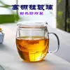 Taza de Té de Vidrio con Asa y Tapa, Taza Transparente Resistente al Calor con Filtro para Separar el Agua y las Hojas de Té, Taza para Oficina, Gran Capacidad