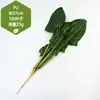 Adereços de vegetais de simulação modelo de vegetal de simulação folhas de alface falsas brócolis repolho adereços de supermercado frutas e vegetais crianças