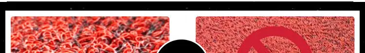 11120854767_24472082_04