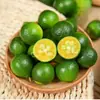 Tienda de Té con Leche de Kumquat Pequeño de Hainan Limones Verdes Pequeños de Piel Fina Kumquats Verdes Ácidos Frutas de Temporada Venta al por Mayor por Caja Completa
