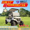 Nuevo Modelo de Carrito de Golf con Cubo para Turismo, Recorridos Inmobiliarios, Recepción en Aeropuertos y Uso como Carrito de Golf Eléctrico