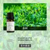 Fabricante de Fuente de Aromaterapia Aceite Esencial de Aromaterapia Soluble en Agua 10 ml Fragancia Vegetal L Difusor Ambientador Máquina de Aromaterapia Aceite Esencial
