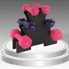 Suporte Pequeno para Halteres Atacado Suporte de Armazenamento para Halteres Doméstico Comercial Plástico Espessado Equipamento de Fitness Suporte para Halteres