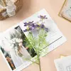Estilo Pastoral 5 Cabezas Hierba Negra Flor Artificial Tela de Seda Planta Verde Accesorio Decorativo Fotografía Mesa Arreglo Estilo Nórdico