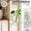 Jarrón Creativo de Bombilla Colgante de Colores con Plantas Verdes de Centella para Decoración de Interiores del Hogar, Ventana de Cristal, Pared
