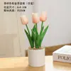 Plantas Verdes Simples Suculentas de Plástico Planta en Maceta Adorno Sala de Estar Mesa de Comedor Flores Artificiales Decoraciones Adornos Flores Biomórficas