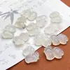 Colgante Pequeño de Caballo de Ágata Natural Chalcedony Blanco Congelado Lichi Buena Suerte Atrae Dinero Caballo del Zodiaco Colgante de Jade Pequeño Encanto para el Año de Nacimiento